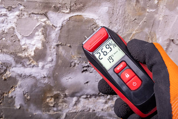 Best Mold Testing  in Lansdowne, VA