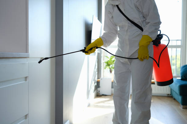 Best Professional Mold Removal  in Lansdowne, VA