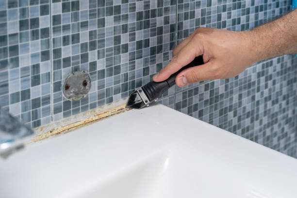 Best Toxic Mold Removal  in Lansdowne, VA